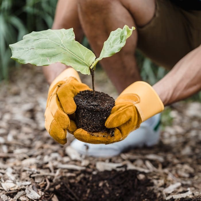 Environment Conservation