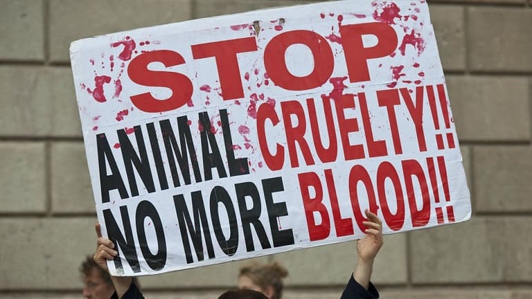 animal welfare